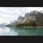 Gallery Image 92